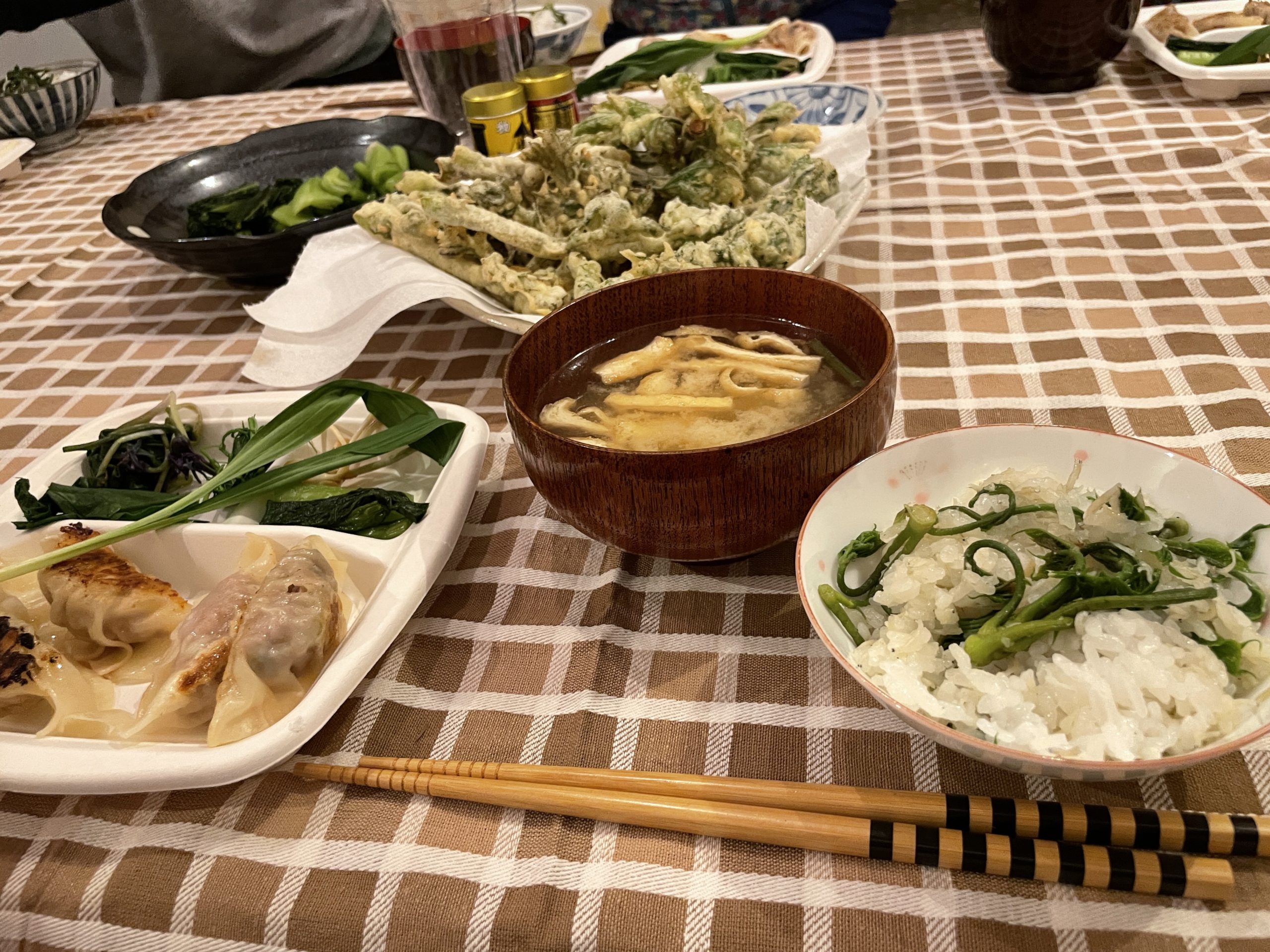 タラの芽・コシアブラ・カタクリ・わさび菜・わらび・ふきのとうを使った山菜料理