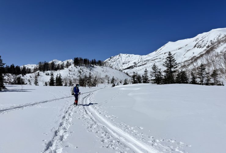 雪山栂池自然園